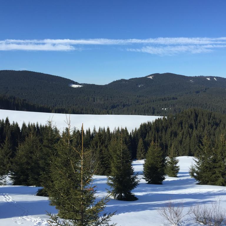 Chata Vlocka - Orava Snow V Lyziarskom Stredisku Oravská Lesná Pokój zdjęcie